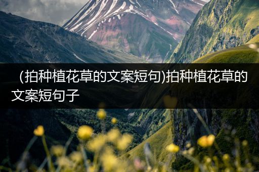 （拍种植花草的文案短句)拍种植花草的文案短句子