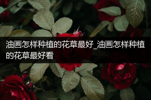 油画怎样种植的花草最好_油画怎样种植的花草最好看