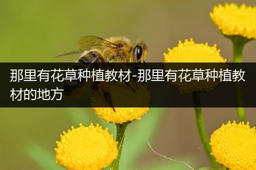 那里有花草种植教材-那里有花草种植教材的地方