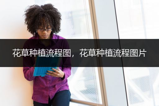 花草种植流程图，花草种植流程图片
