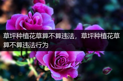 草坪种植花草算不算违法，草坪种植花草算不算违法行为