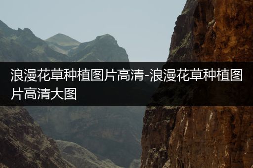 浪漫花草种植图片高清-浪漫花草种植图片高清大图