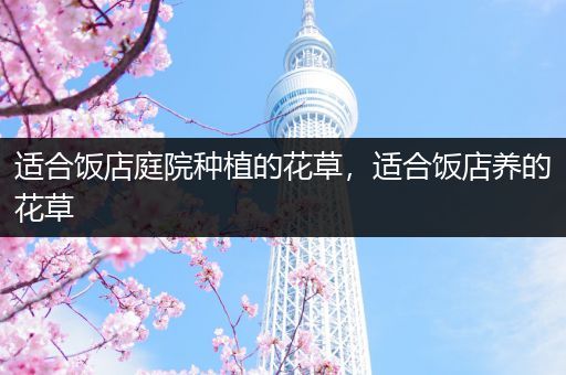 适合饭店庭院种植的花草，适合饭店养的花草