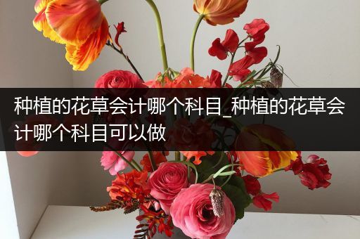 种植的花草会计哪个科目_种植的花草会计哪个科目可以做