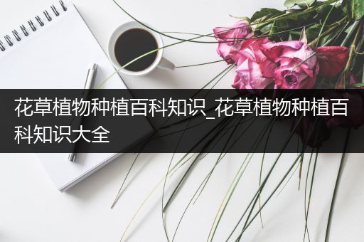 花草植物种植百科知识_花草植物种植百科知识大全