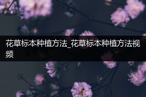 花草标本种植方法_花草标本种植方法视频
