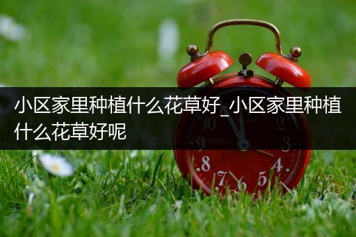 小区家里种植什么花草好_小区家里种植什么花草好呢