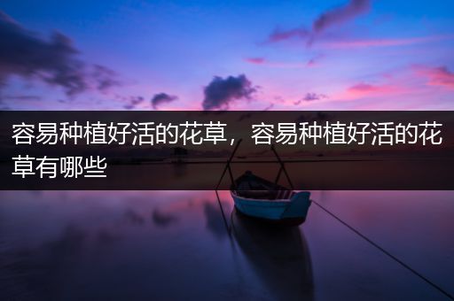 容易种植好活的花草，容易种植好活的花草有哪些