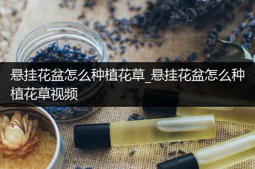 悬挂花盆怎么种植花草_悬挂花盆怎么种植花草视频