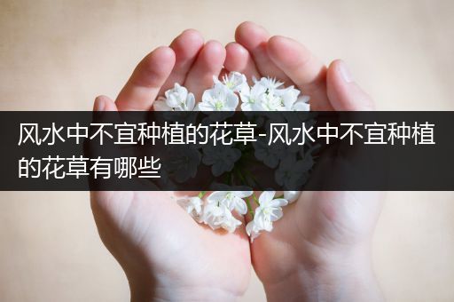 风水中不宜种植的花草-风水中不宜种植的花草有哪些
