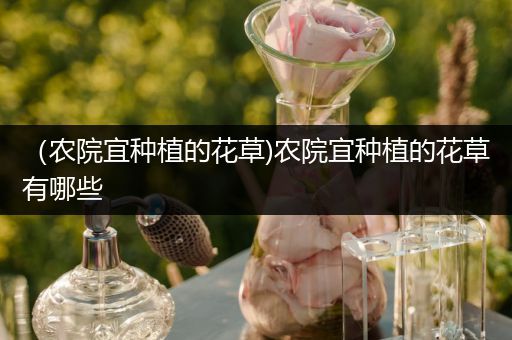 （农院宜种植的花草)农院宜种植的花草有哪些
