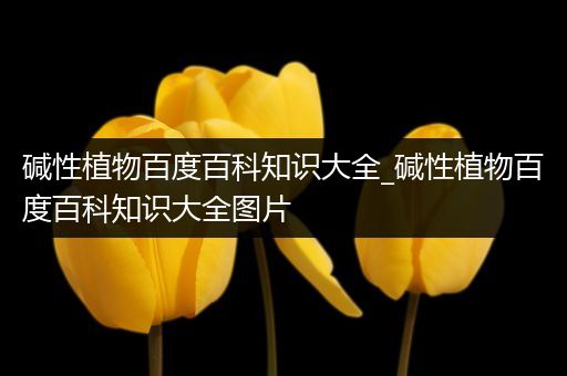 碱性植物百度百科知识大全_碱性植物百度百科知识大全图片