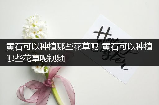 黄石可以种植哪些花草呢-黄石可以种植哪些花草呢视频