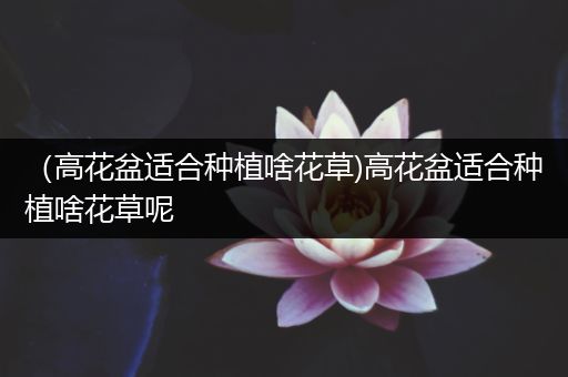 （高花盆适合种植啥花草)高花盆适合种植啥花草呢