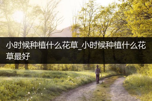 小时候种植什么花草_小时候种植什么花草最好