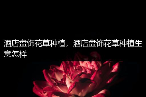 酒店盘饰花草种植，酒店盘饰花草种植生意怎样