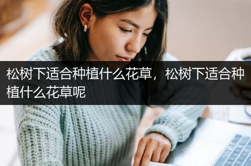 松树下适合种植什么花草，松树下适合种植什么花草呢
