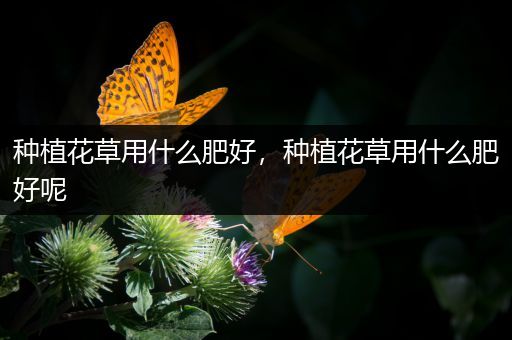 种植花草用什么肥好，种植花草用什么肥好呢
