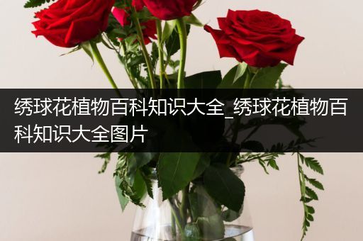 绣球花植物百科知识大全_绣球花植物百科知识大全图片