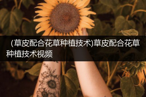 （草皮配合花草种植技术)草皮配合花草种植技术视频