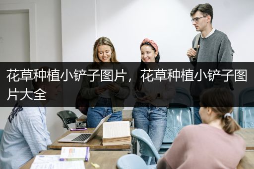 花草种植小铲子图片，花草种植小铲子图片大全