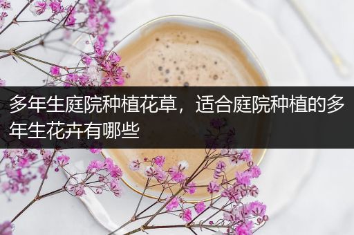 多年生庭院种植花草，适合庭院种植的多年生花卉有哪些