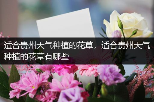 适合贵州天气种植的花草，适合贵州天气种植的花草有哪些