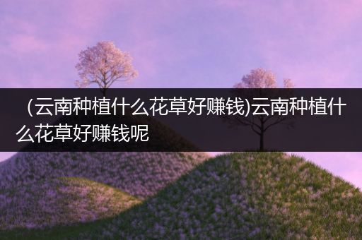 （云南种植什么花草好赚钱)云南种植什么花草好赚钱呢