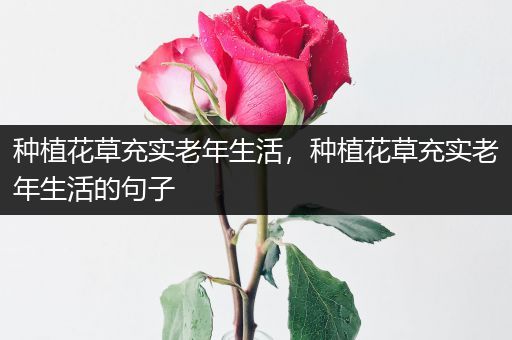 种植花草充实老年生活，种植花草充实老年生活的句子