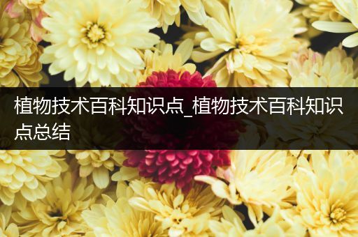 植物技术百科知识点_植物技术百科知识点总结