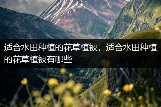 适合水田种植的花草植被，适合水田种植的花草植被有哪些