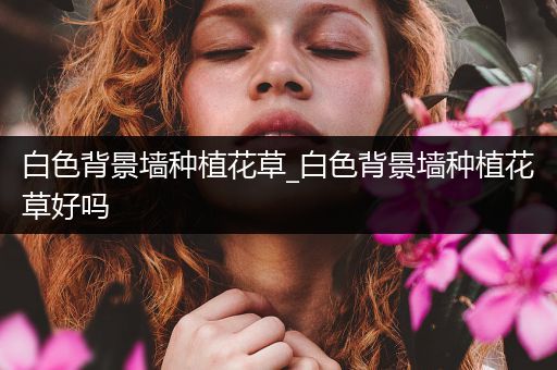 白色背景墙种植花草_白色背景墙种植花草好吗