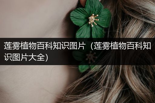 莲雾植物百科知识图片（莲雾植物百科知识图片大全）