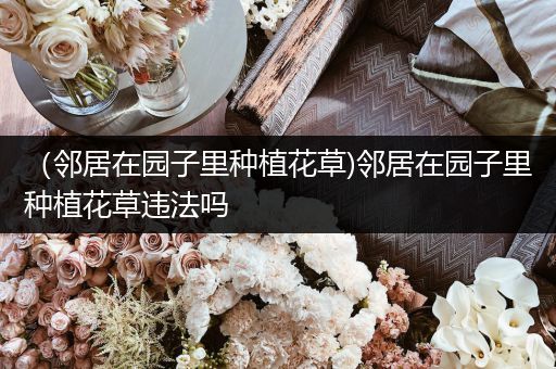 （邻居在园子里种植花草)邻居在园子里种植花草违法吗