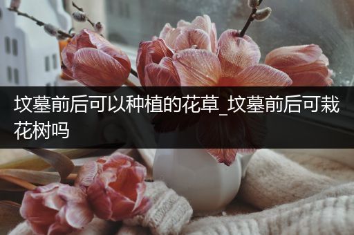 坟墓前后可以种植的花草_坟墓前后可栽花树吗