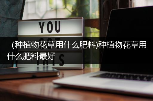 （种植物花草用什么肥料)种植物花草用什么肥料最好