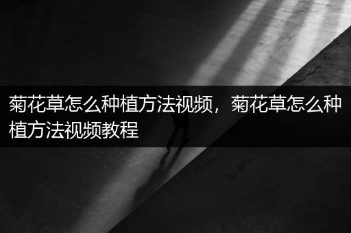 菊花草怎么种植方法视频，菊花草怎么种植方法视频教程