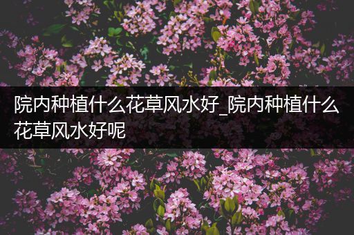 院内种植什么花草风水好_院内种植什么花草风水好呢