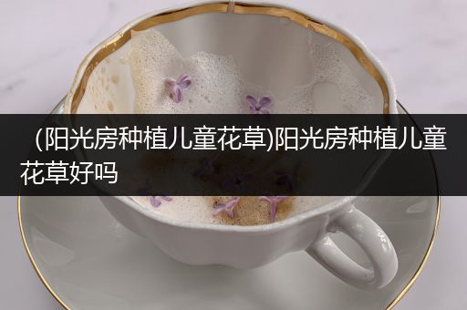 （阳光房种植儿童花草)阳光房种植儿童花草好吗