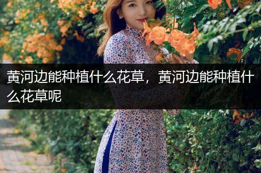 黄河边能种植什么花草，黄河边能种植什么花草呢