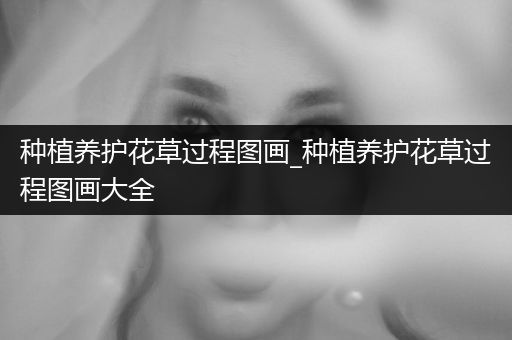 种植养护花草过程图画_种植养护花草过程图画大全