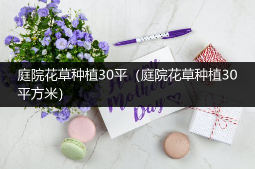庭院花草种植30平（庭院花草种植30平方米）