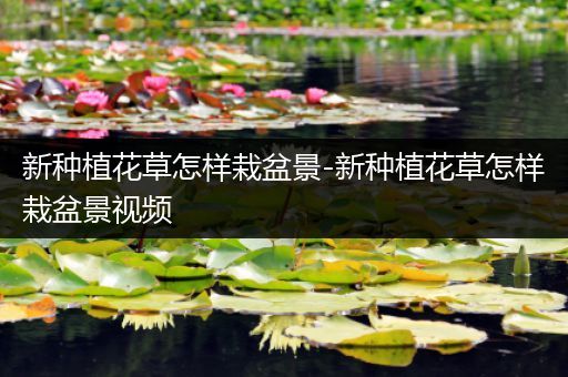 新种植花草怎样栽盆景-新种植花草怎样栽盆景视频