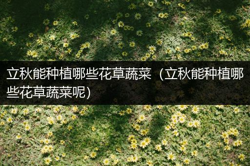 立秋能种植哪些花草蔬菜（立秋能种植哪些花草蔬菜呢）