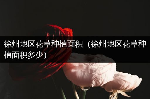 徐州地区花草种植面积（徐州地区花草种植面积多少）