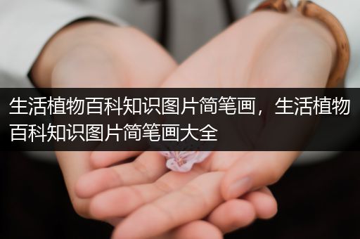 生活植物百科知识图片简笔画，生活植物百科知识图片简笔画大全