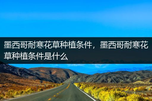 墨西哥耐寒花草种植条件，墨西哥耐寒花草种植条件是什么