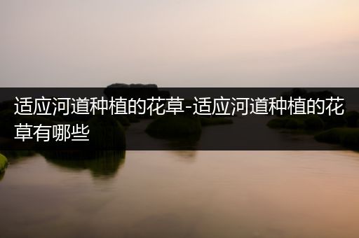 适应河道种植的花草-适应河道种植的花草有哪些