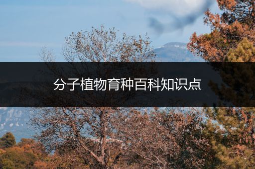 分子植物育种百科知识点