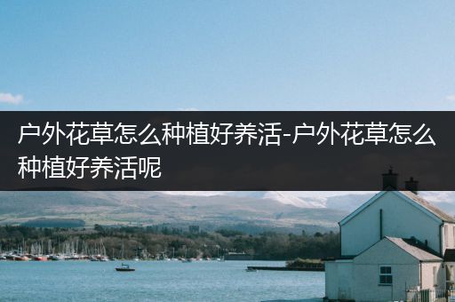 户外花草怎么种植好养活-户外花草怎么种植好养活呢